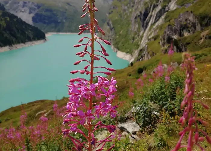 شقة Haus Zervreila