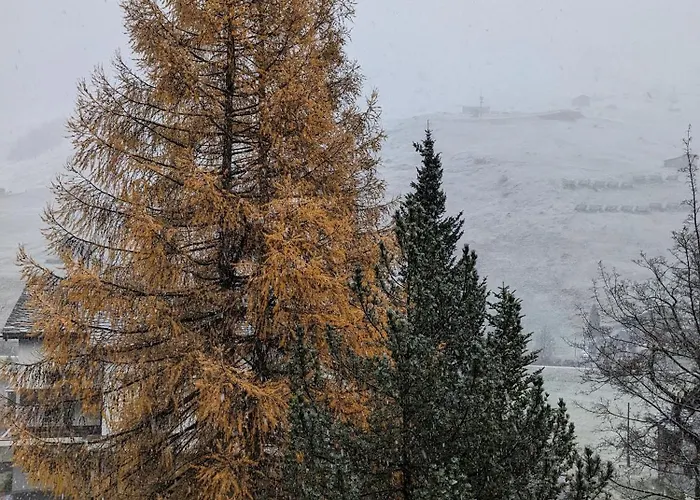 Apartment Haus Zervreila *