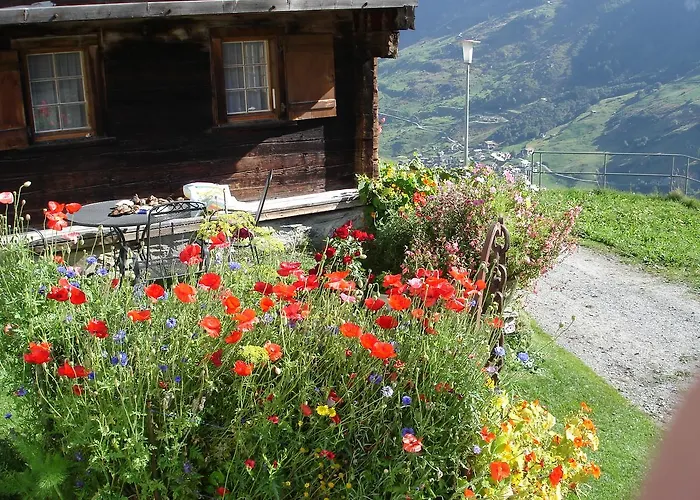 Haus Zervreila *