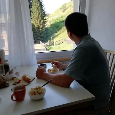 Haus Zervreila *