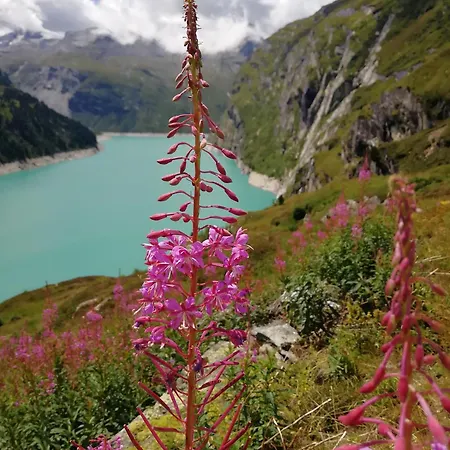 Apartamento Haus Zervreila